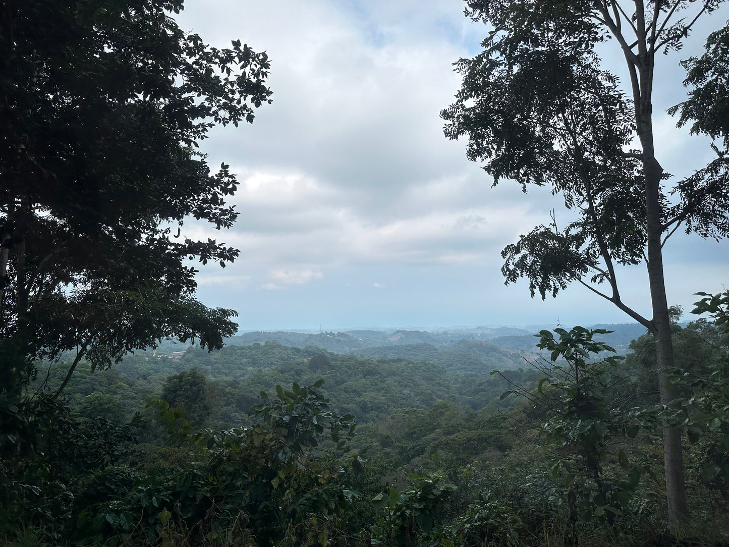 Ruta Mirador